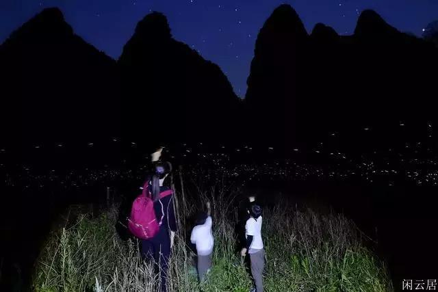 小猫钓鱼游戏龙王版有船