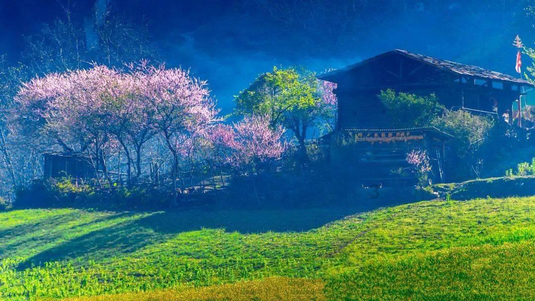 月光影视