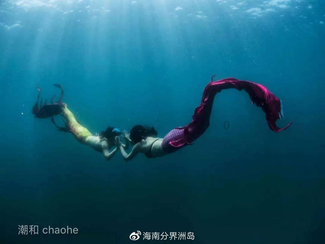 嘉日单词